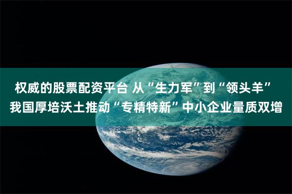 权威的股票配资平台 从“生力军”到“领头羊” 我国厚培沃土推动“专精特新”中小企业量质双增