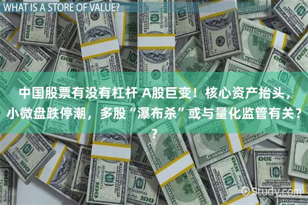 中国股票有没有杠杆 A股巨变！核心资产抬头，小微盘跌停潮，多股“瀑布杀”或与量化监管有关？