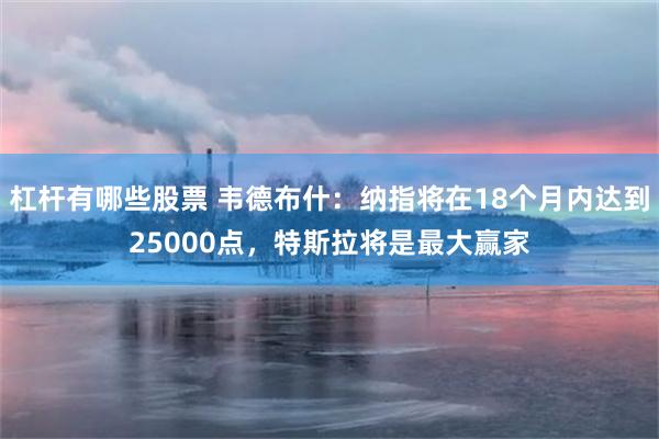 杠杆有哪些股票 韦德布什：纳指将在18个月内达到25000点，特斯拉将是最大赢家