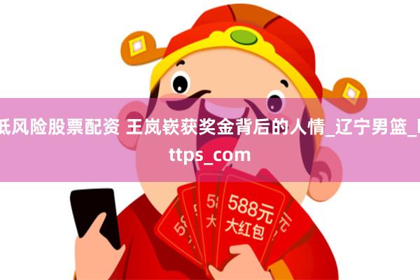 低风险股票配资 王岚嵚获奖金背后的人情_辽宁男篮_https_com