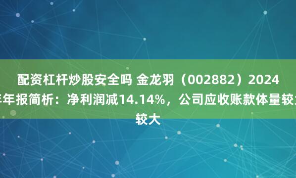 配资杠杆炒股安全吗 金龙羽（002882）2024年年报简析：净利润减14.14%，公司应收账款体量较大