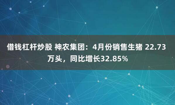 借钱杠杆炒股 神农集团：4月份销售生猪 22.73 万头，同比增长32.85%