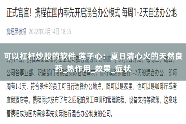 可以杠杆炒股的软件 莲子心：夏日清心火的天然良药_热作用_效果_症状