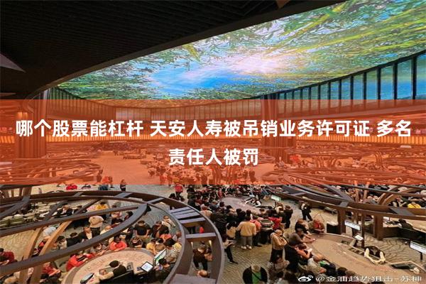 哪个股票能杠杆 天安人寿被吊销业务许可证 多名责任人被罚