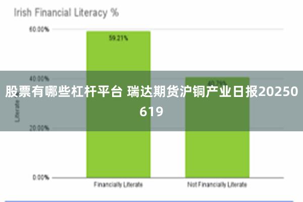 股票有哪些杠杆平台 瑞达期货沪铜产业日报20250619