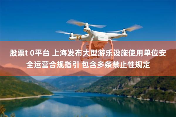 股票t 0平台 上海发布大型游乐设施使用单位安全运营合规指引 包含多条禁止性规定
