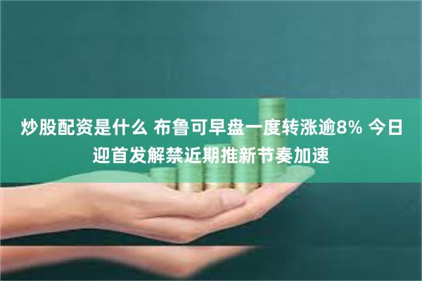 炒股配资是什么 布鲁可早盘一度转涨逾8% 今日迎首发解禁近期推新节奏加速
