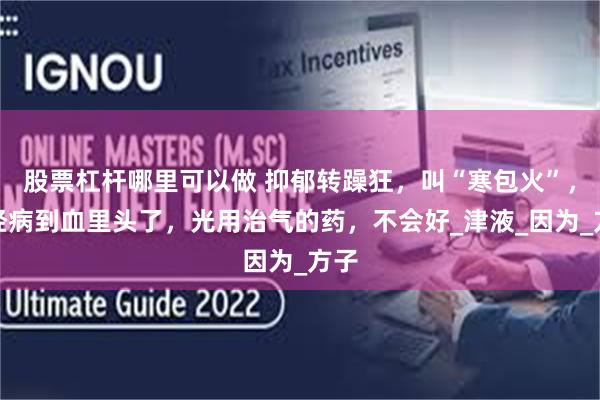 股票杠杆哪里可以做 抑郁转躁狂，叫“寒包火”，已经病到血里头了，光用治气的药，不会好_津液_因为_方子