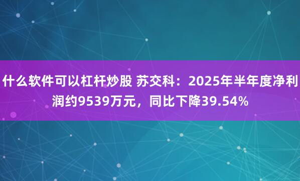 什么软件可以杠杆炒股 苏交科：2025年半年度净利润约9539万元，同比下降39.54%