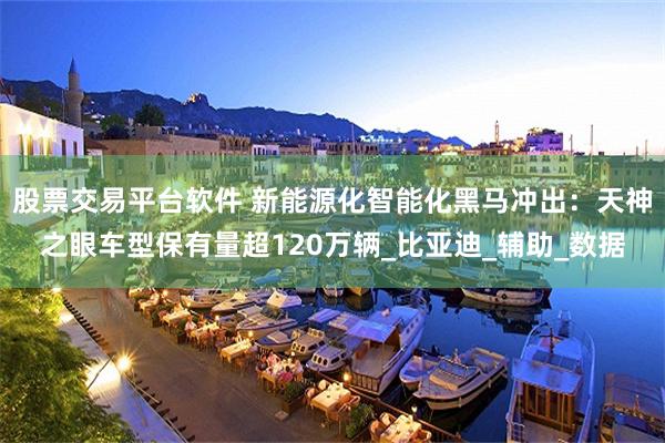 股票交易平台软件 新能源化智能化黑马冲出：天神之眼车型保有量超120万辆_比亚迪_辅助_数据