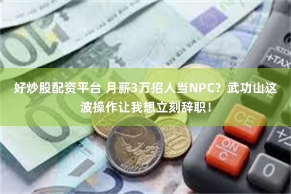 好炒股配资平台 月薪3万招人当NPC？武功山这波操作让我想立刻辞职！